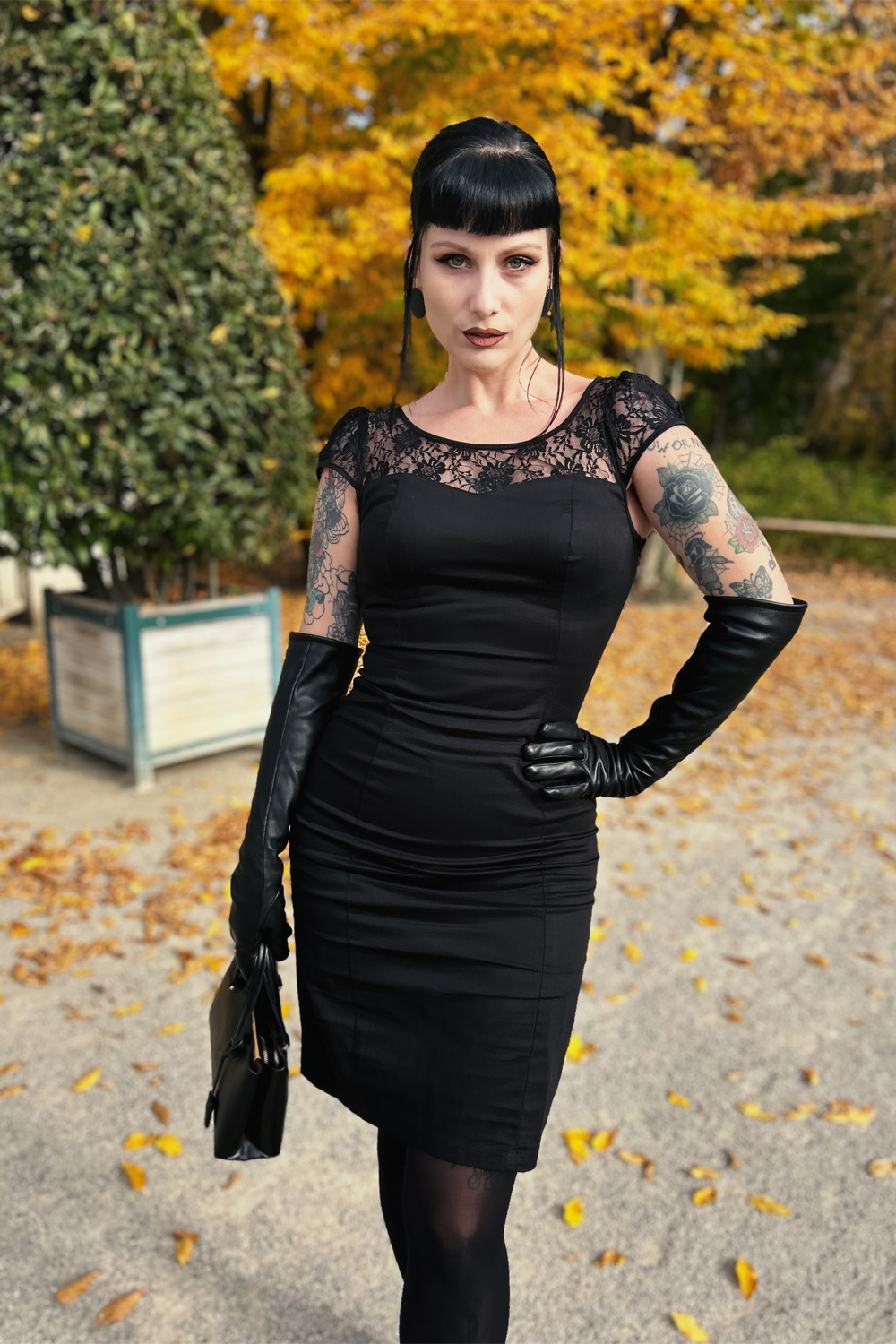 Black Mesh Lace Wiggle Dress in Black Hearts Roses London